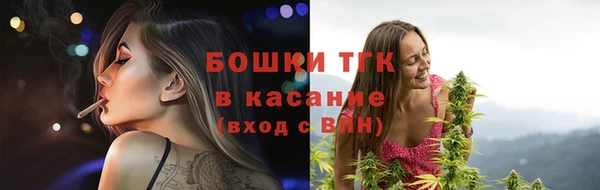 прущие грибы Алексин