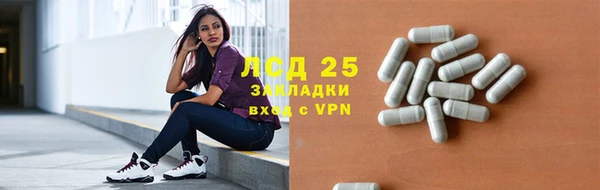 прущие грибы Алексин