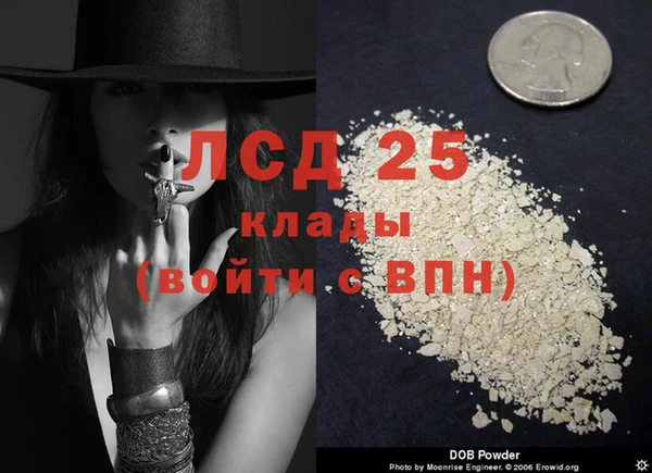 прущие грибы Алексин
