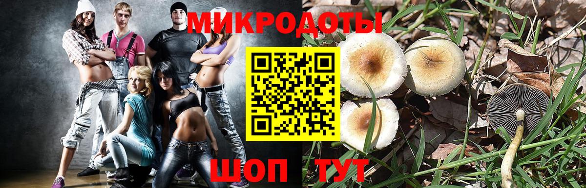 Псилоцибиновые грибы Magic Shrooms  Псилоцибиновые грибы MAGIC MUSHROOMS  Вход с VPN  Котлас 