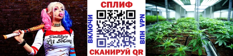 Бошки Шишки VHQ  МЕГА ссылка  Котлас 